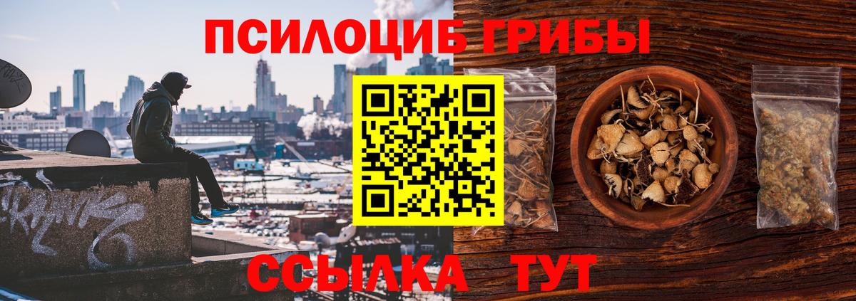 Воронеж  Галлюциногенные грибы мухоморы  Вход с VPN  Псилоцибиновые грибы Psilocybine cubensis 